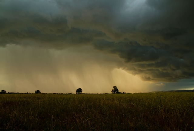 lovely photographs of rain