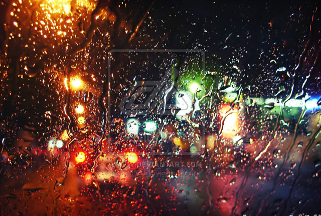 lovely photographs of rain