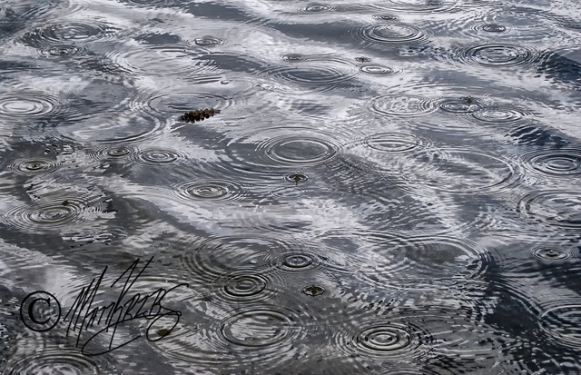 lovely photographs of rain