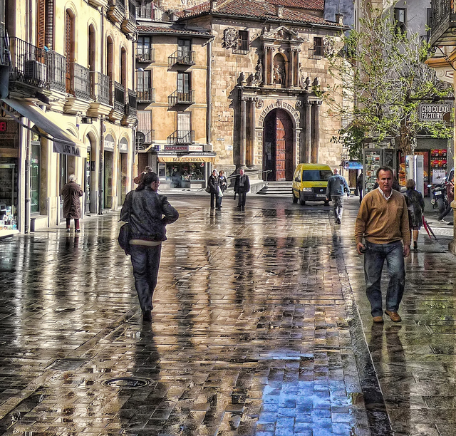 lovely photographs of rain