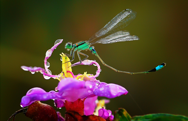 lovely photographs of rain