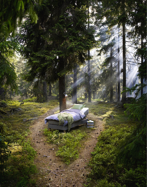 Advertising Photography  Incredible Snaps