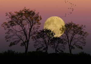 photograph by peter holme iii photograph by peter holme iii