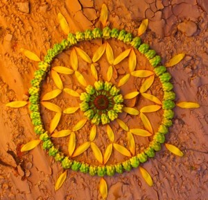 photographs of danmalas by kathy klein 11