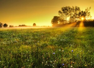 Beautiful Landscapes by Zsolt Zsigmond (2)