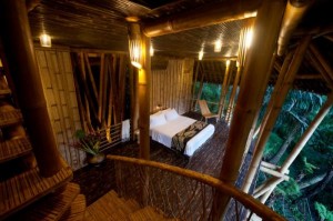 photographs of green village in Bali
