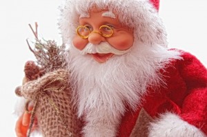 awesome pictures of Santa clause 11 (3)