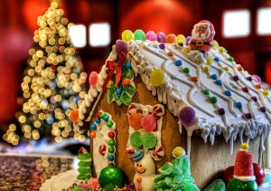 beautiful christmas photography (2)