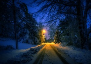 photographs of christmas tree