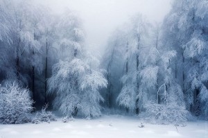 very cool landscape photography (14)