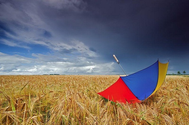 30 amazing and wonderful umbrella pictures