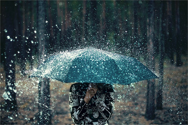beautiful umbrella photographs
