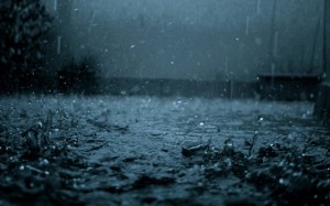 most beautiful raindrops pictures (6)
