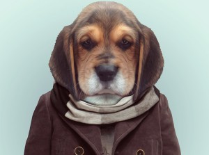 38 Animal Portrait Photography (9)