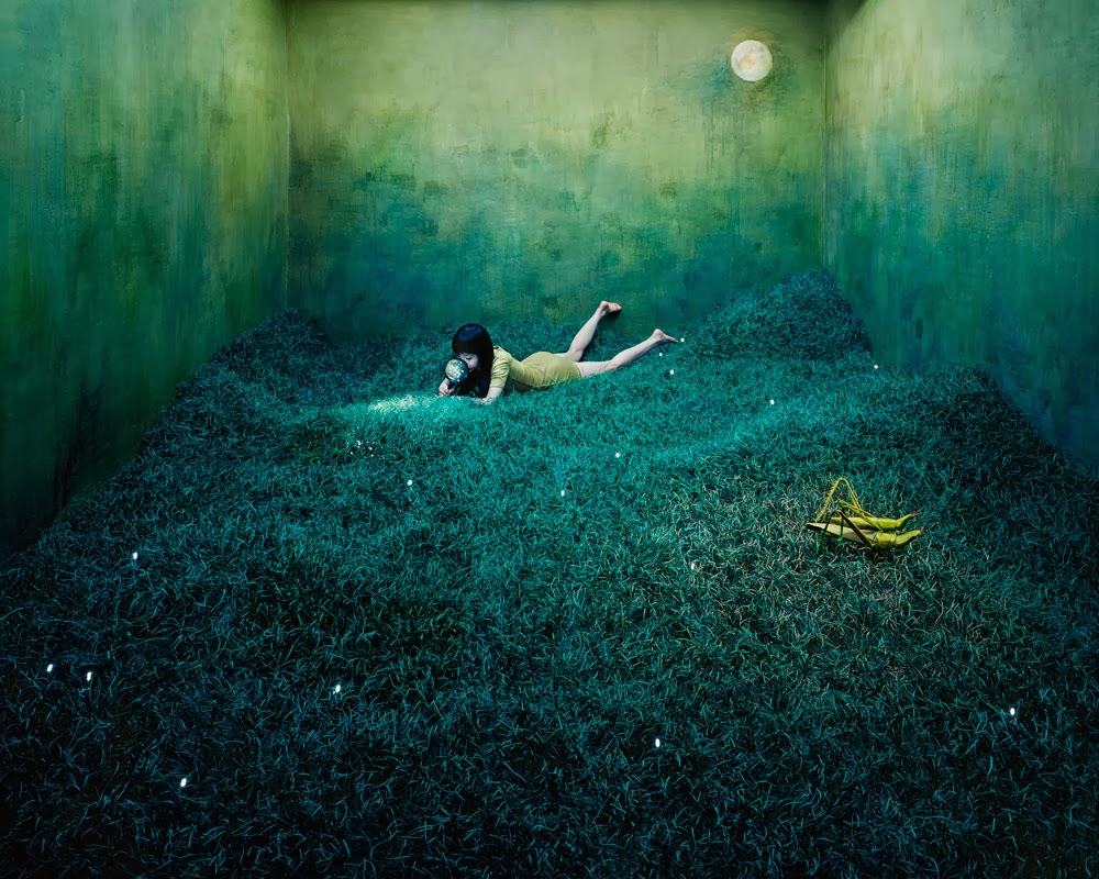 Beautiful Art works by JeeYoung Lee  Incredible Snaps