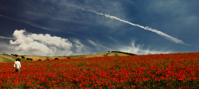 beautiful france photography