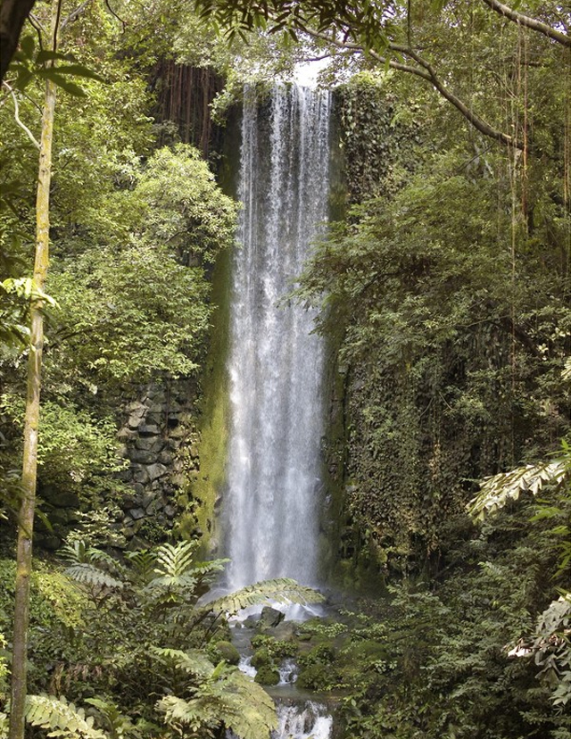 beautiful waterfall photographs