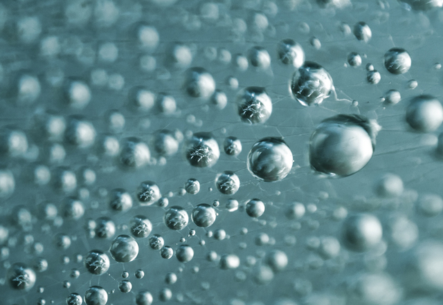 55 stunning dew drop photographs