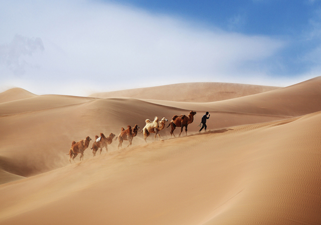 desert photographs by syberor