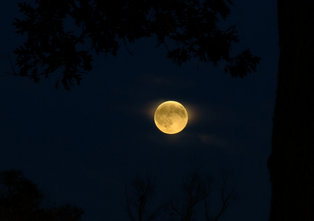 moon photographs