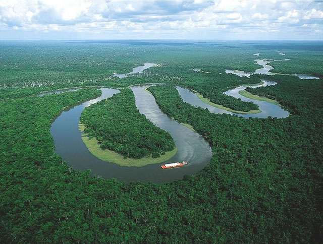 Brazilian-Amazon