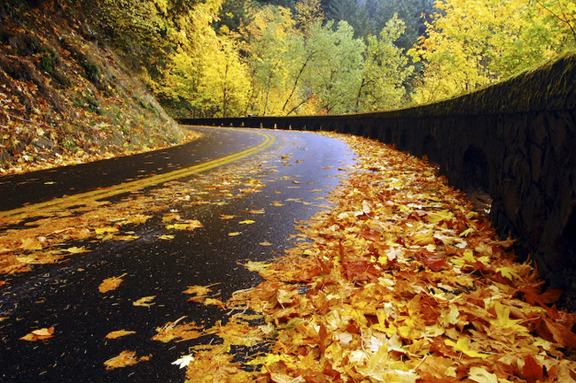 beautiful autumn fall photographs