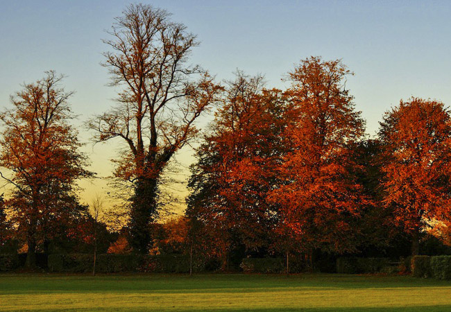 beautiful autumn fall photographs
