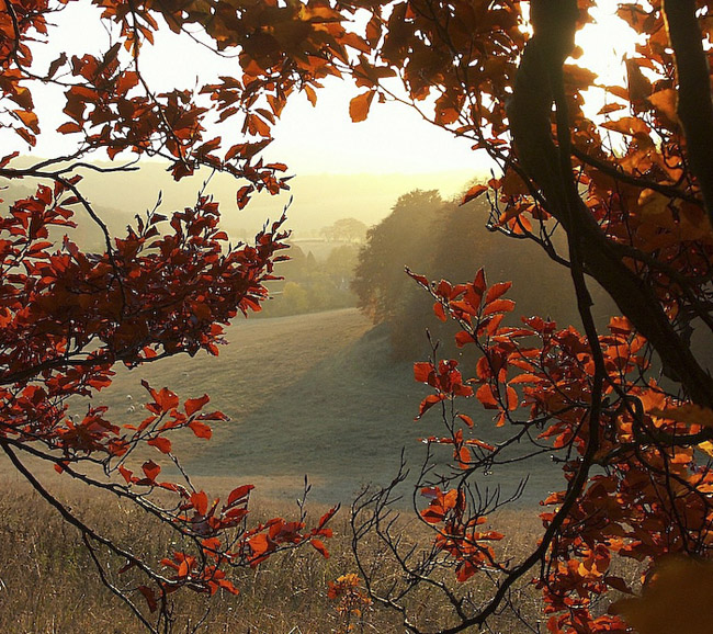 beautiful autumn fall photographs