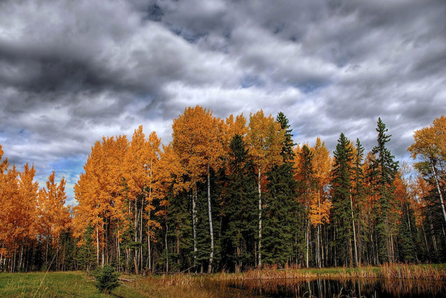 beautiful autumn fall photographs