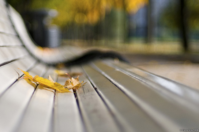 beautiful autumn fall photographs