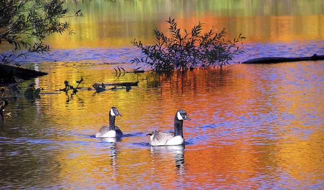 beautiful autumn fall photographs