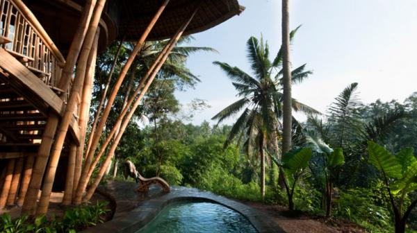 photographs of green village in Bali