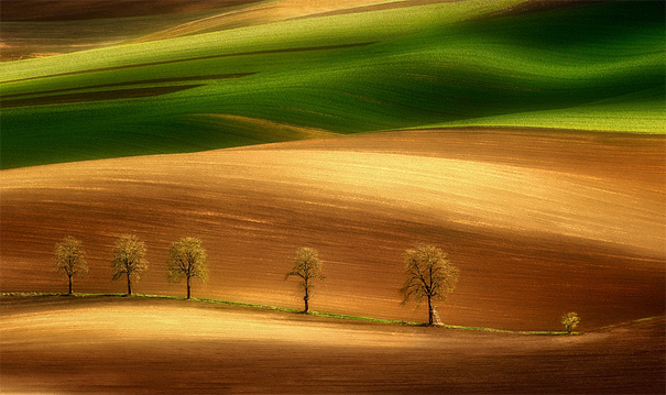 beautiful illustration of landscape photographs