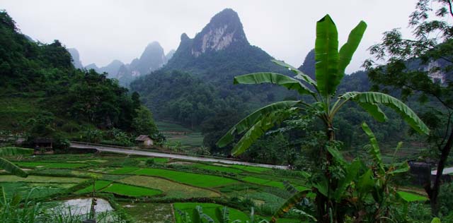 Cao Bang