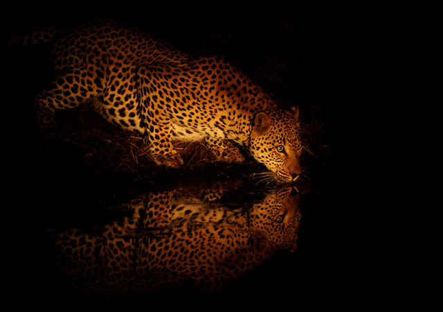 Night Thirst by Rudi Hulshof