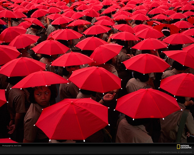The Incredible Umbrella by Marvin Kaye The Incredible Umbrella by Marvin Kaye