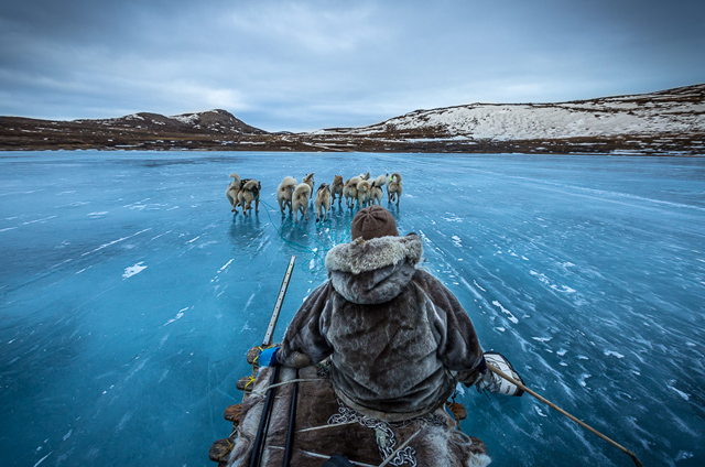Sledding - Greenland by Joe Capra