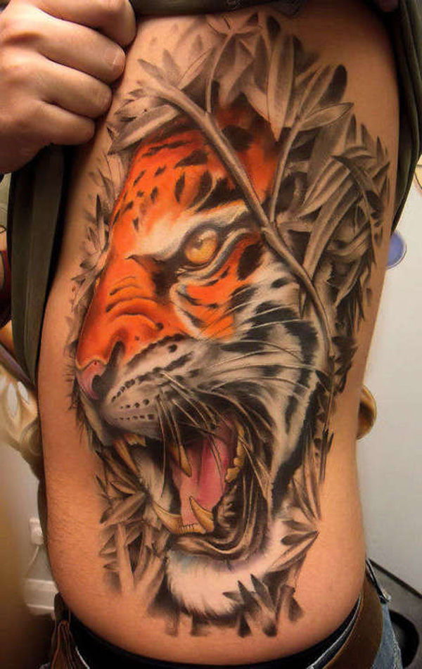 60 Fabulous Tiger Tattoos On Rib  Tattoo Designs  TattoosBagcom