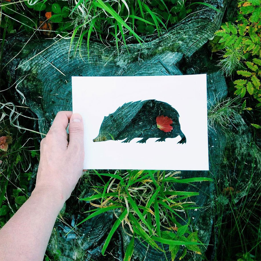 animal-paper-cutout-silhouettes-nikolai-tolstyh-15