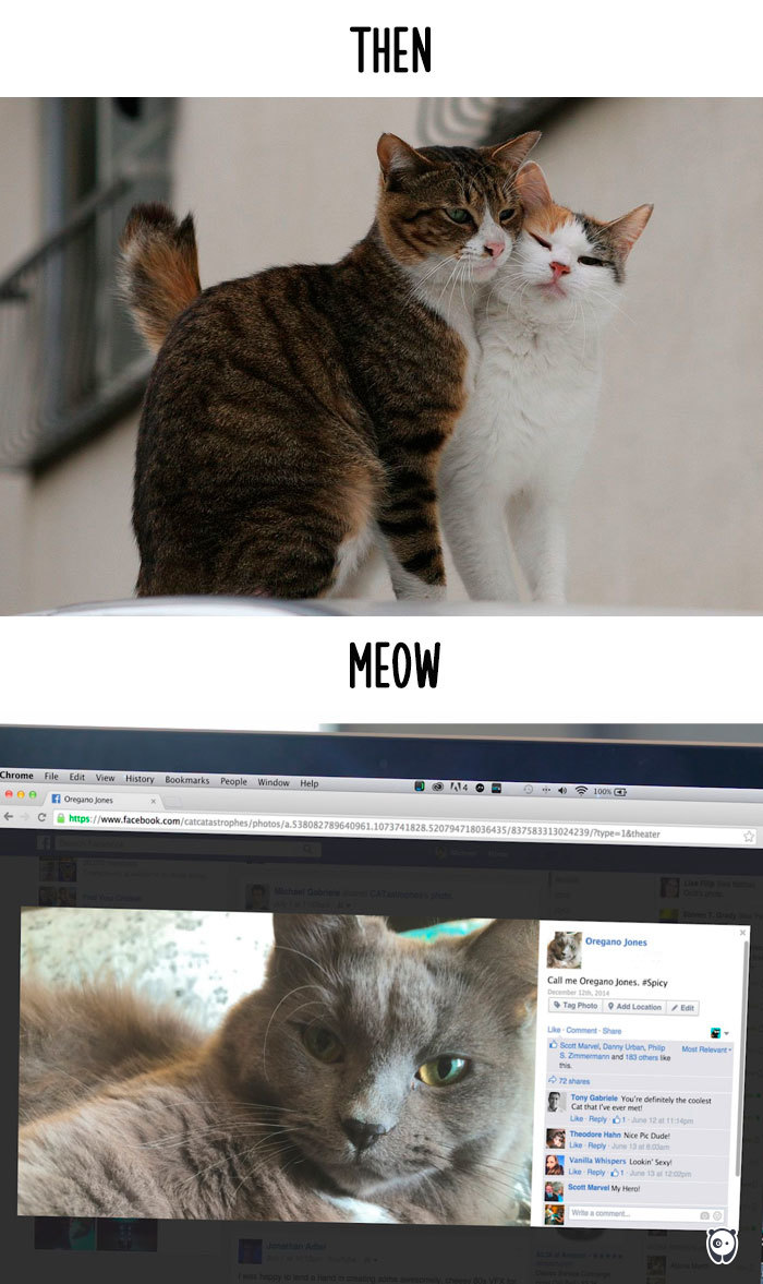 Cats-then-now-funny-technology-change-life-15-5716342bb4884__700