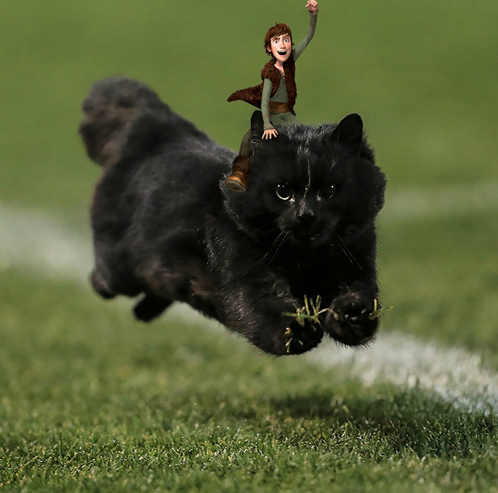 flying-cat-rugby-game-photoshop-battle-12-5784a389063ae-png__700