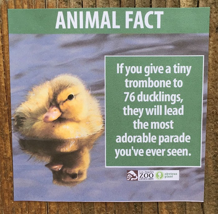 funny-animal-facts-fake-los-angeles-zoo-obvious-plant-6-577674490c7b7__700
