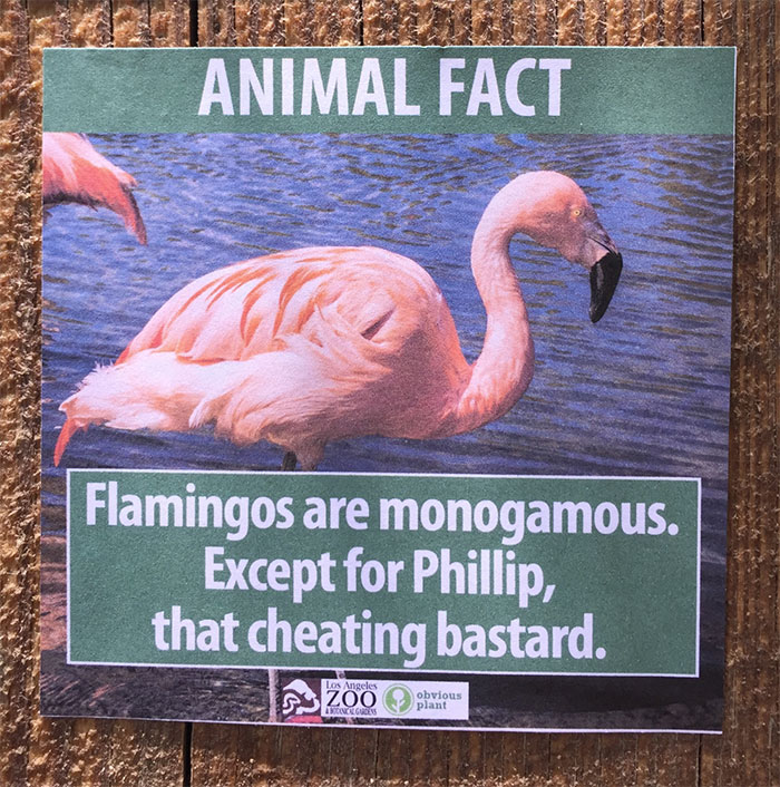 funny-animal-facts-fake-los-angeles-zoo-obvious-plant-9-577674527364e__700