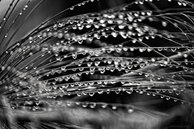 17-rainy-day-black-and-white-photography-by-cris.preview