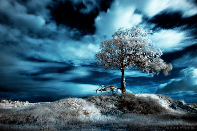 5-infrared-photography