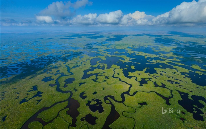 everglades National Park